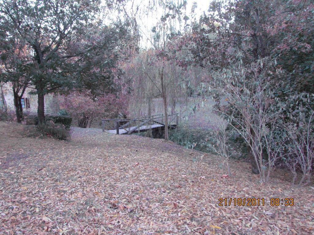 Agriturismo Il Mulino Delle Pile คิวส์ดีโน ภายนอก รูปภาพ