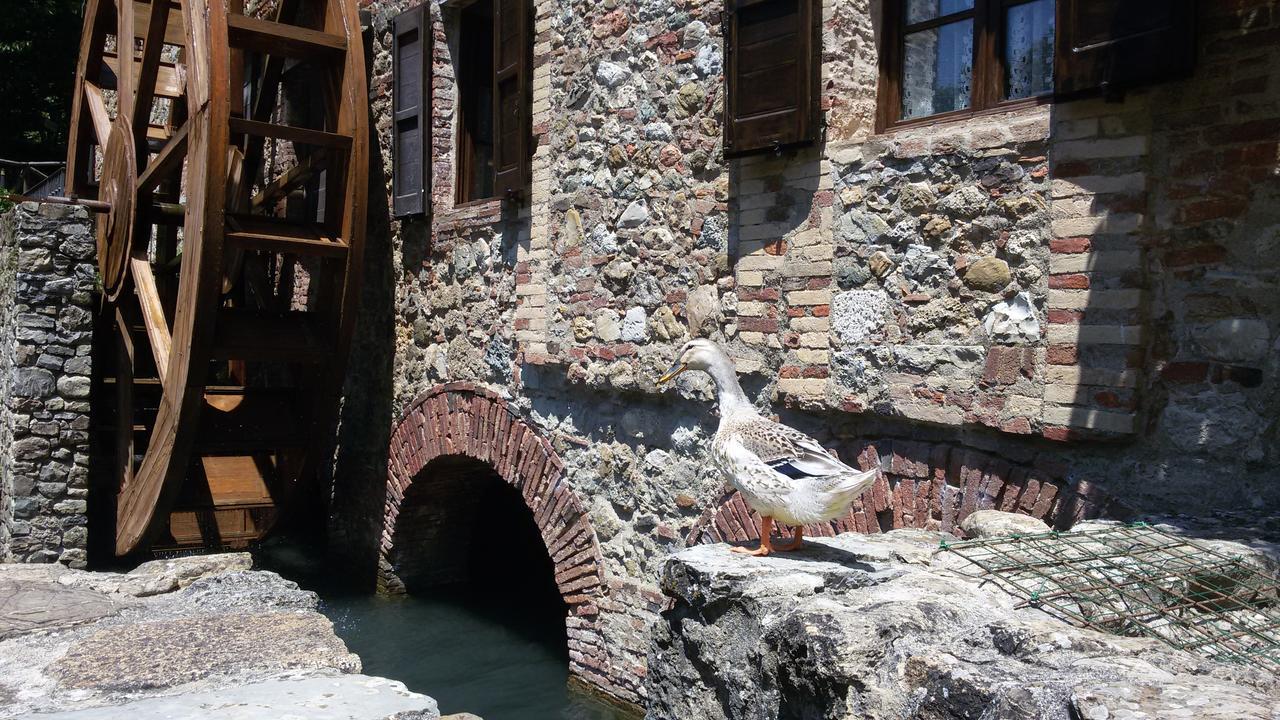 Agriturismo Il Mulino Delle Pile คิวส์ดีโน ภายนอก รูปภาพ