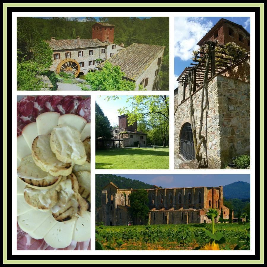 Agriturismo Il Mulino Delle Pile คิวส์ดีโน ภายนอก รูปภาพ