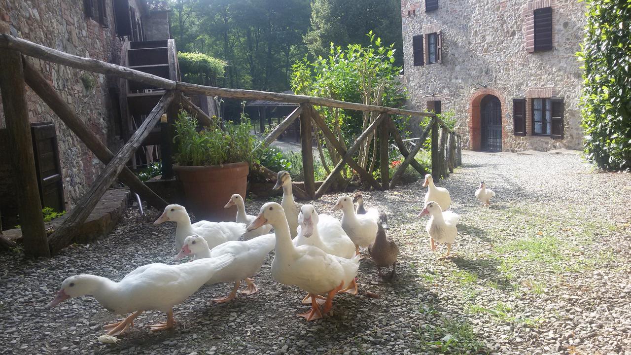 Agriturismo Il Mulino Delle Pile คิวส์ดีโน ภายนอก รูปภาพ