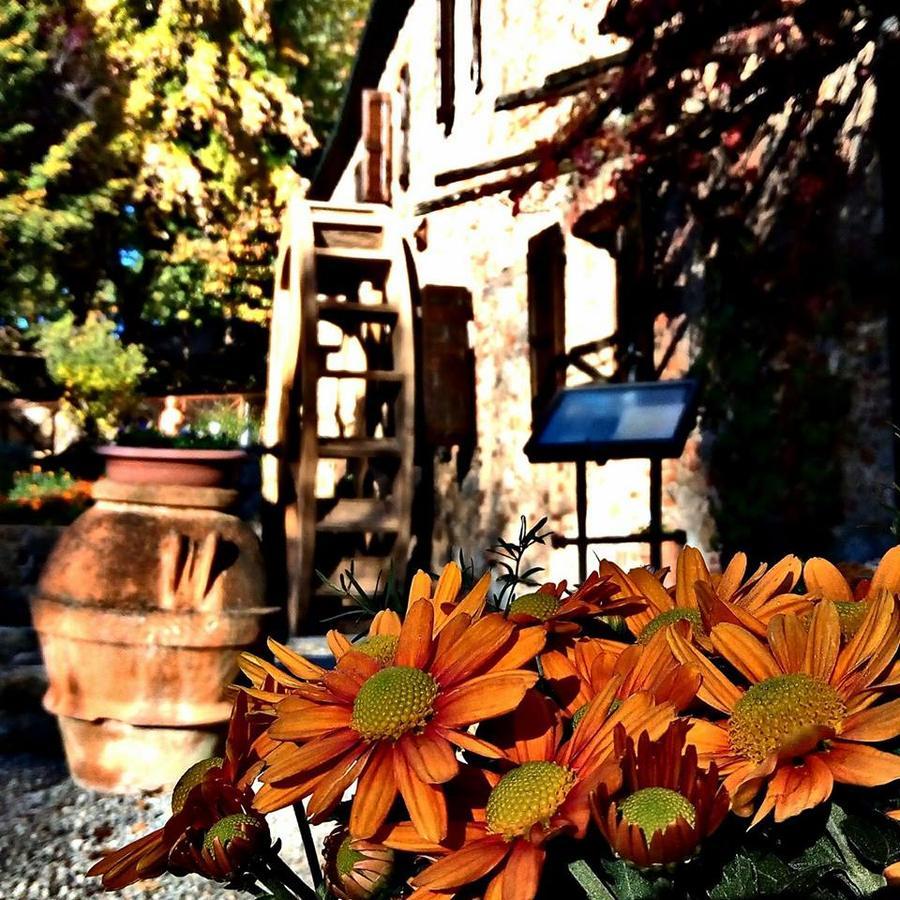 Agriturismo Il Mulino Delle Pile คิวส์ดีโน ภายนอก รูปภาพ