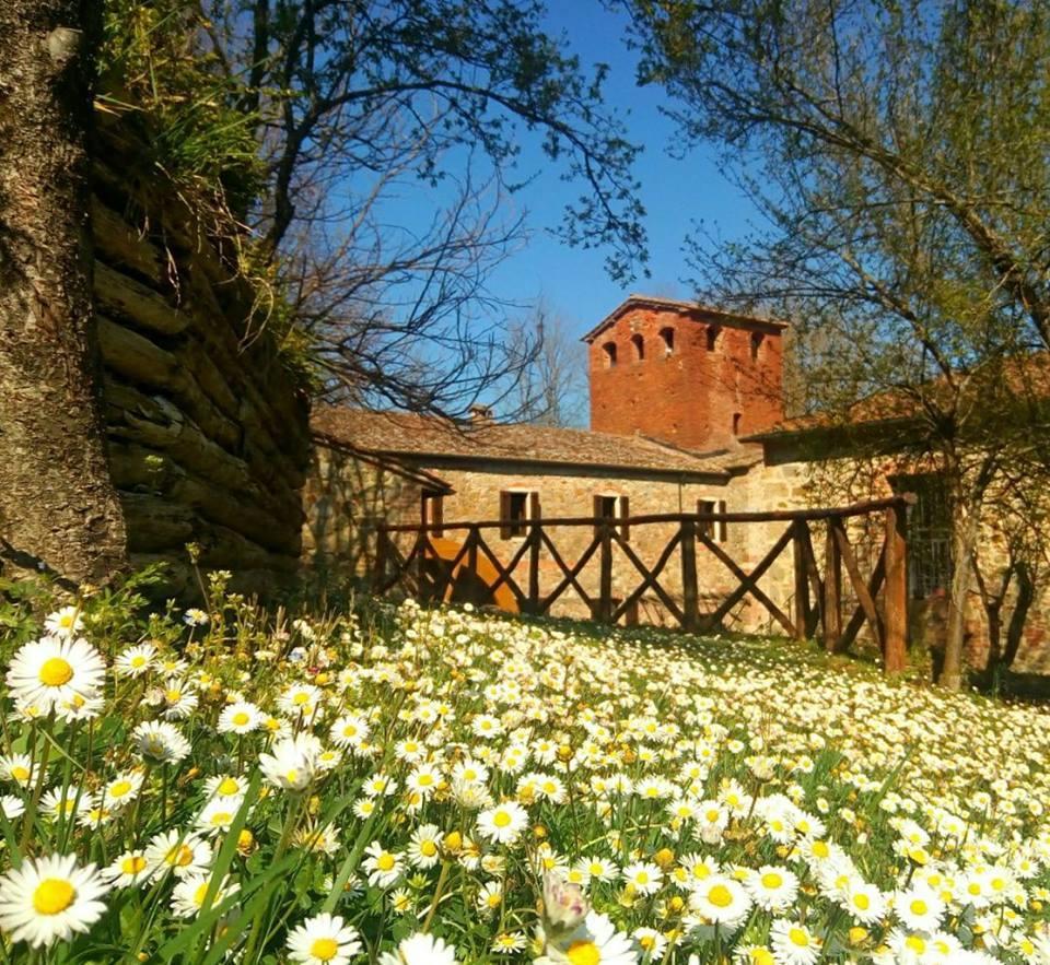 Agriturismo Il Mulino Delle Pile คิวส์ดีโน ภายนอก รูปภาพ