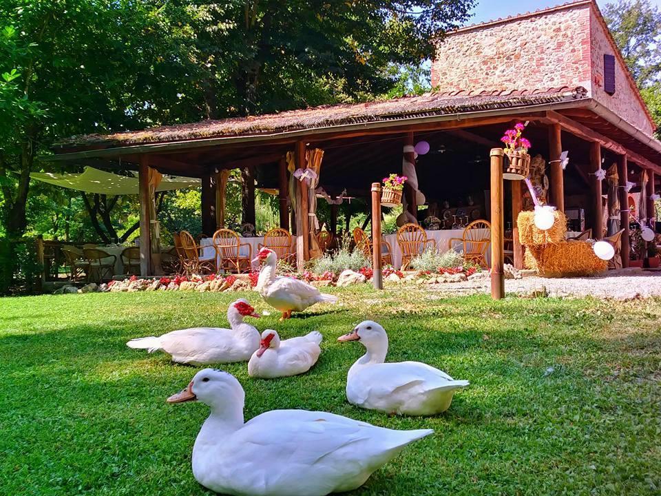 Agriturismo Il Mulino Delle Pile คิวส์ดีโน ภายนอก รูปภาพ