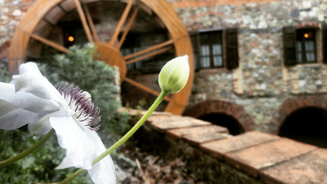 Agriturismo Il Mulino Delle Pile คิวส์ดีโน ภายนอก รูปภาพ
